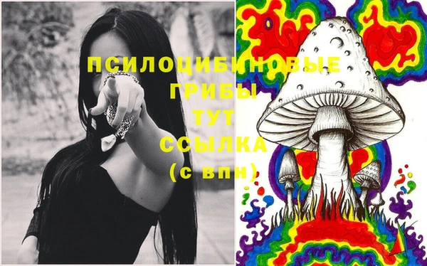 трава Абдулино